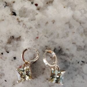 Beautiful Stone Earrings Nwt